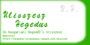 ulisszesz hegedus business card